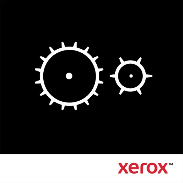 Xerox Kit di manutenzione (componente a lunga durata, solito non richiesto per utilizzi medi) [604K73140]