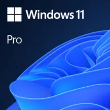 Microsoft Windows 11 Pro 1 licenza/e [FQC-10572]