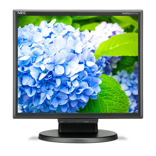 NEC E172M Monitor PC 43,2 cm (17