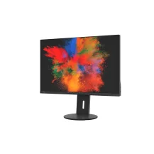 Fujitsu Displays B2410 WS Monitor PC 61,2 cm (24.1