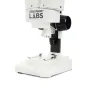 Celestron LABS S20 20x Microscopio ottico [CM44207]