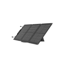 EcoFlow EFSOLAR60 pannello solare 60 W Silicone monocristallino [EFSOLAR60]