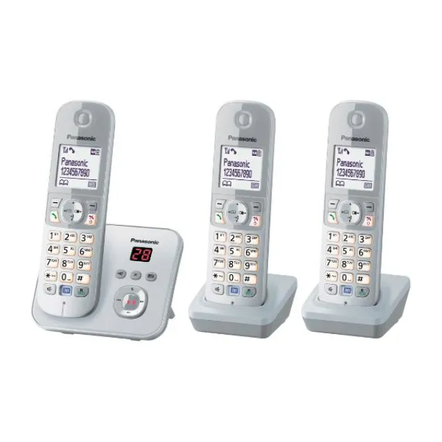 SCOPRI LE OFFERTE ONLINE SU Panasonic KX-TG6823 Telefono DECT  Identificatore di chiamata Argento, Bianco [KX-TG6823GS]