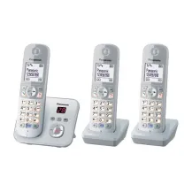 Panasonic KX-TG6823 Telefono DECT Identificatore di chiamata Argento, Bianco [KX-TG6823GS]