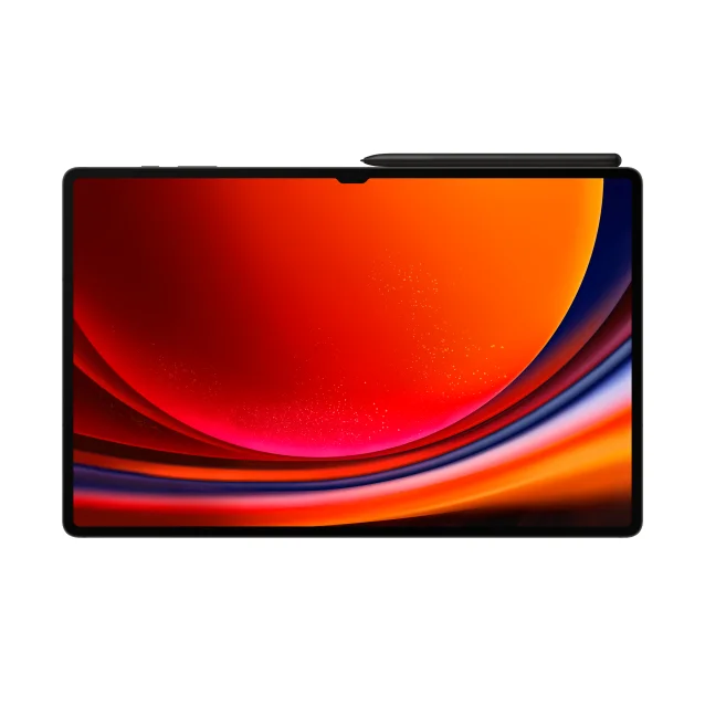 Tablet Samsung Galaxy Tab S9 Ultra (Wi-Fi) [SM-X910NZAEEUE]