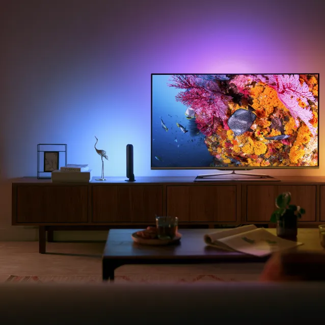 Philips by Signify Hue White and Color ambiance Play Kit Base con alimentatore 2 pezzi Nero [78202/30/P7]