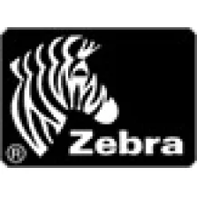Zebra Z6M+ Printhead testina stampante [G79059M]