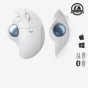 Logitech Ergo M575 mouse Ufficio Mano destra RF senza fili + Bluetooth Trackball 2000 DPI (ERGO - OFFWHITE EMEA) [910-005870]