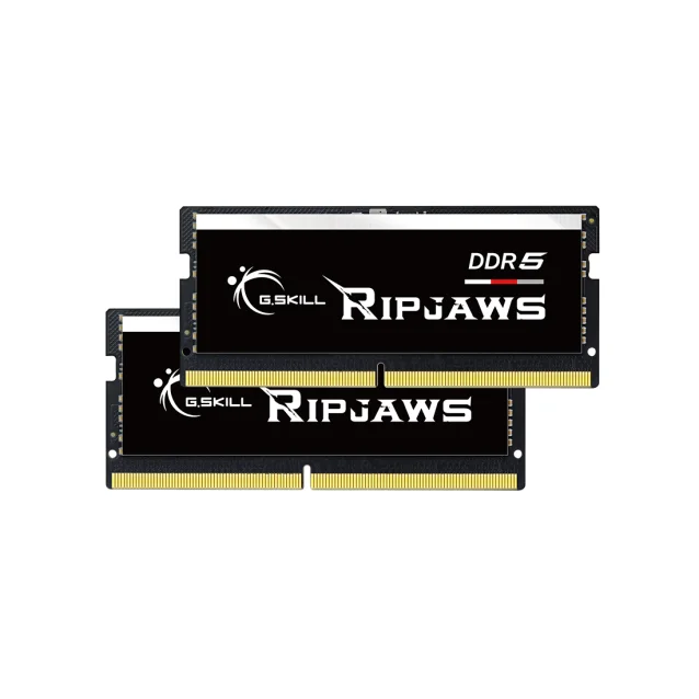 G.Skill Ripjaws F5-4800S3838A16GX2-RS memoria 32 GB 2 x 16 DDR5 4800 MHz [F5-4800S3838A16GX2-RS]