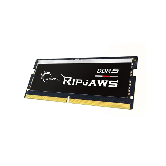 G.Skill Ripjaws F5-4800S3838A16GX2-RS memoria 32 GB 2 x 16 DDR5 4800 MHz [F5-4800S3838A16GX2-RS]