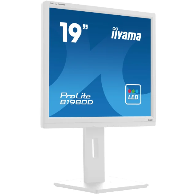iiyama ProLite B1980D-W5 Monitor PC 48,3 cm [19] 1280 x 1024 Pixel SXGA LCD Bianco (iiyama White 19 TN LCD) [B1980D-W5]