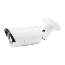LevelOne FCS-5060 telecamera di sorveglianza Capocorda Telecamera sicurezza IP Interno e esterno 1920 x 1080 Pixel Soffitto/muro [FCS-5060]