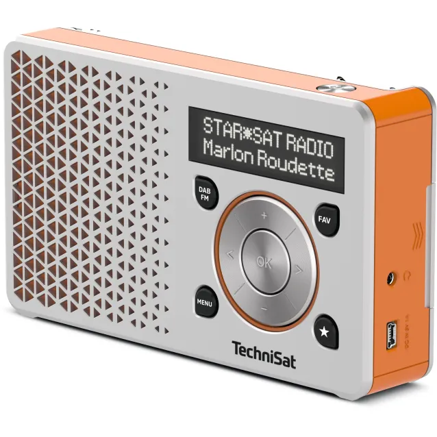 TechniSat DigitRadio 1 Portatile Digitale Arancione, Argento [0003/4997]