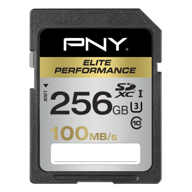 Memoria flash PNY 256GB SDXC class 10 UHS-I Classe
