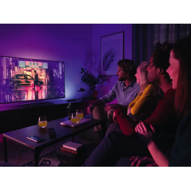 Philips Hue White And Color Ambiance Play Light Bar Double Pack White, Cool  White, Warm White