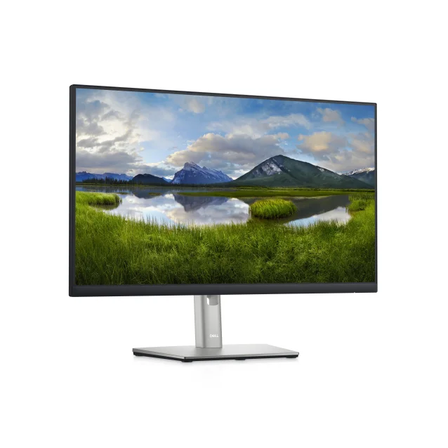 DELL P Series Monitor 24 USB-C Hub - P2422HE [DELL-P2422HE]