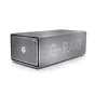 SanDisk G-RAID 2 array di dischi 8 TB Desktop Stainless steel [SDPH62H-008T-MBAAD]