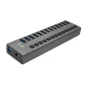 i-tec U3CHARGEHUB13UK Caricabatterie per dispositivi mobili Grigio Interno (I-TEC USB 3.0 HUB 13 PORT 60 W - I-TEC W) [U3CHARGEHUB13UK]