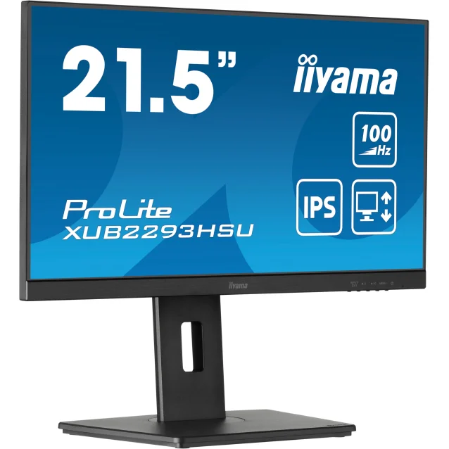 iiyama ProLite XUB2293HSU-B6 Monitor PC 54,6 cm (21.5