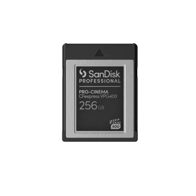 SCOPRI LE OFFERTE ONLINE SU Memoria flash SanDisk PRO-CINEMA 256 GB  CFexpress [SDPCVN4-256G-GNANN]