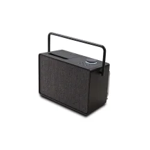 Pure 00-12120-01 portable speaker Mono portable speaker Black 40 W